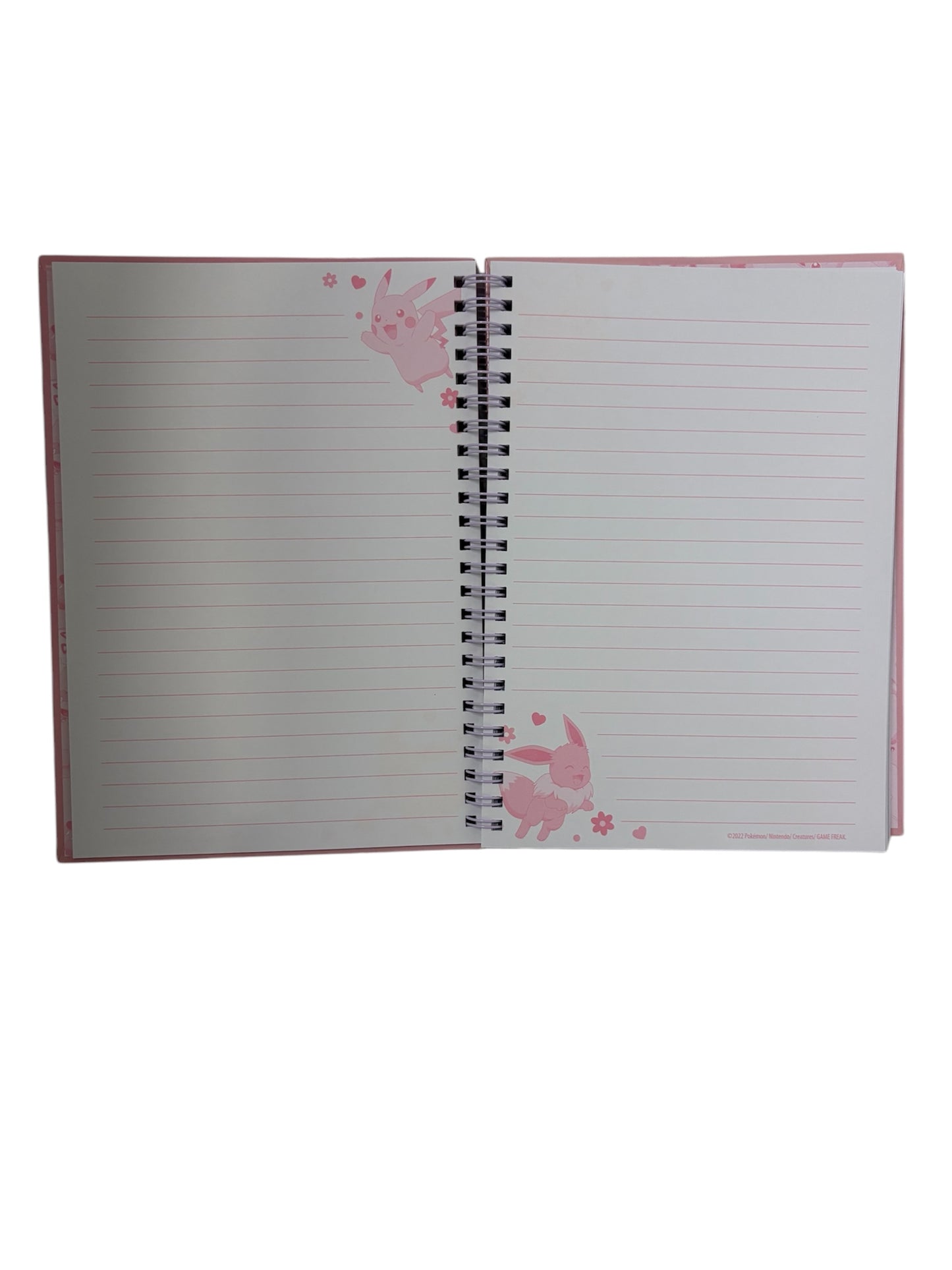 Quaderno a righe